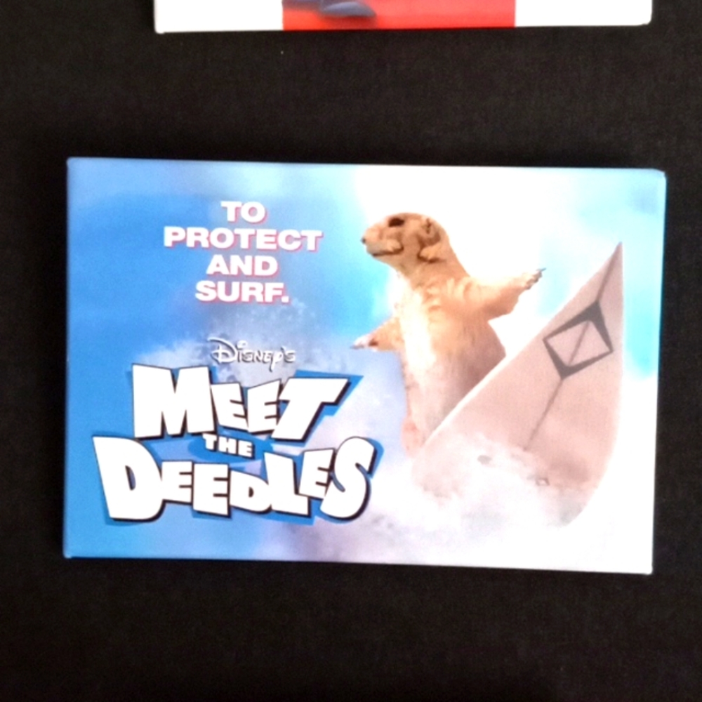 DISNEY STORE CAST MEMBER POSTER PIN